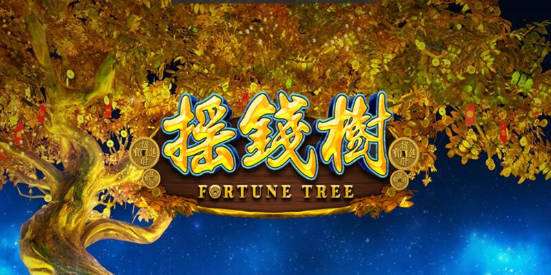 Fortune Tree - Thần Cây May Mắn Phát Tài Lộc Cho Bet Thủ